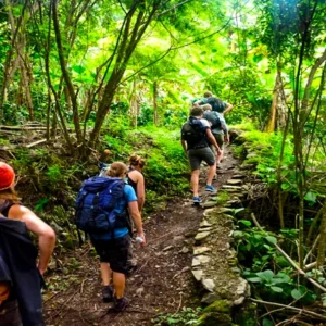 Inca Jungle Trail 3Days/2Nights